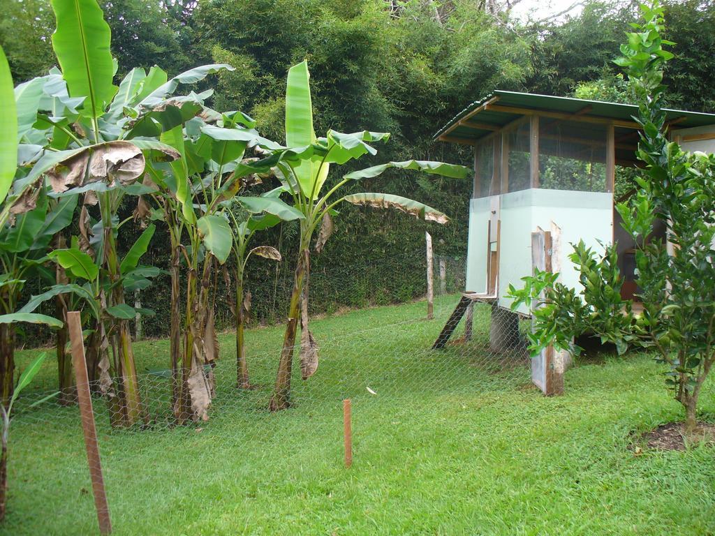 El Paraiso Verde B&B Atenas Exterior photo