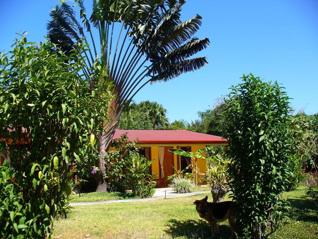 El Paraiso Verde B&B Atenas Room photo